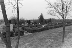 Friedhof Born am Darß