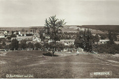 Biskupice. Pohled z kopce NA KAŠTANECH v době, kdy nebyl ještě zalesněný