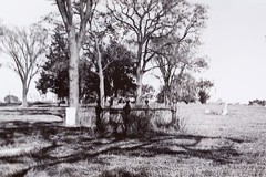 Pioneer Cemetery Grave