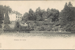 Lancy, Grand-Lancy: château