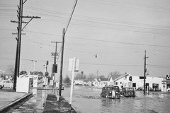 Flood in Bellflower