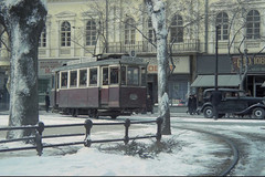 Subotica. Square tram