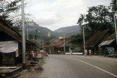 Banana Village Jl