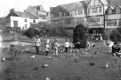 Children feed the birds in Castle Gardens