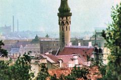 Tallina raekoja torn