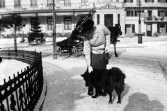 Edith Södergran mit dem Hund Matti(?)