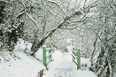 Wooden walkway to the bridge in the snow