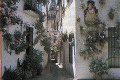 The Calle de las Flores in Cordoba