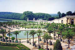 Orangerie du Château de Versailles
