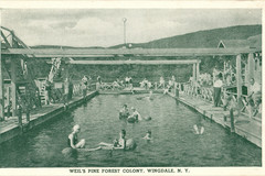 Swimming Area - Weil's Pine Forest Colony - Wingdale, NY