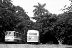 Parada de autobús en el Museo Hemingway