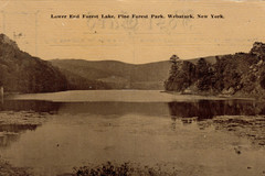 Lower End Forest Lake, Pine Forest Park, Webatuck, New York