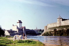 Нарвский замок и Ивангородская крепость
