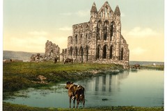 Whitby, the abbey. Yorkshire