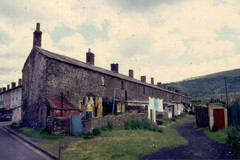 Backs of terraced houses