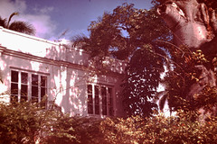 Finca Vigía, the home of Ernest Hemingway in San Francisco de Cuba (II)
