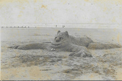 Sand beast made by the Borth beach visitor