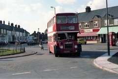 FLF441 bus