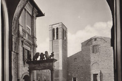 Montepulciano, Pozzo dei Grifi e dei Leoni Cattedrale