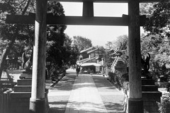 華氏田inari神社