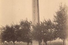 Obelisk in Heliopolis