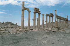 The Great Colonnade. Colonnaded street between the Monumental Arch and the Tetrapylon