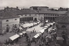Senegallia, Il mercato