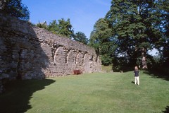 Culross Abbey. Cloister garth wall