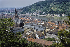 Heidelberg und Neckar. Gesamtansicht