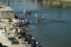 Nasik. Washing in the Godavari river