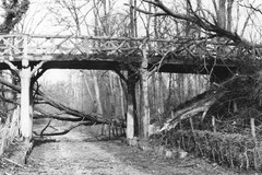 Een voorjaarsstorm omgevallen bomen bij de brug over de Bochtdijk van Kasteel de Haar