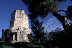 Nîmes. La tour Magne