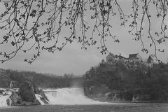 Rhine falls. Schaffhausen. Switzerland