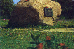 Памятны знак на Буйнiцкiм поле, дзе развеяны прах пiсьменнiка Канстанцiна Сiманава