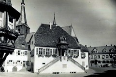 Deidesheim. Rathaus