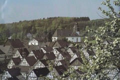 Freidenberg