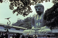 Kamakura. Kōtoku-in. Daibutsu