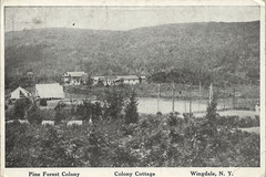 Colony Cottage, Pine Forest Colony - Wingdale, N. Y
