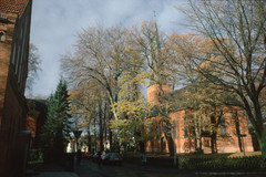 Bremen-Vegesack, Alt-Aumunder Kirche