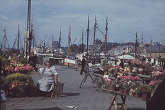 Blomstermarked i Bergen havn