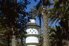 Palmeral de Elche. Torre El Palomar
