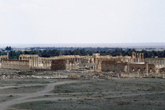 Distant view of the ancient city from southwest with Zenobia’s wall in the foreground
