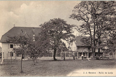Bernex, Loëx: asile