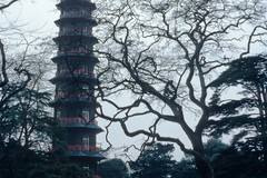Kew Gardens - Pagoda