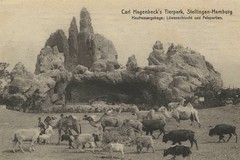 Carl Hagenbeck's Tierpark. Heufressergehege