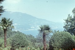 Вид з палацу Лівадій