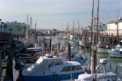 Fisherman Wharf. AL Scoma Way