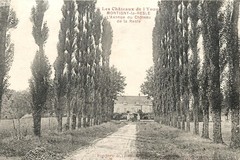 Montigny-la-Resle. L'Avenue du Château de la Resle