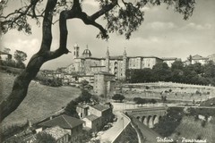 Urbino, Panorama