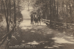 Down Lover's Lane, Pine Forest Colony - Wingdale, N.Y
